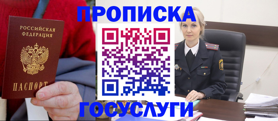 форма 3 в Сольцах
